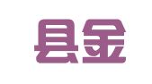 昭苏县金信财务咨询有限公司