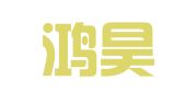 天津鸿昊财务咨询有限公司