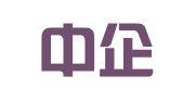 北京中企金税财务顾问有限公司