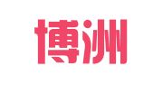 成都博洲财务咨询服务有限公司