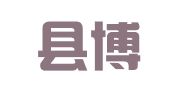 霍城县博业财务咨询有限公司