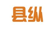 惠安县纵横财务咨询有限公司