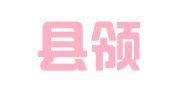 双峰县领格财务咨询服务有限公司