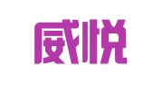 武汉威悦信息科技有限公司
