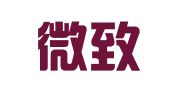 山东微致信息技术有限公司