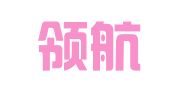 星际领航（厦门）知识产权服务咨询有限公司