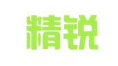 成都精锐财务代理记账有限公司