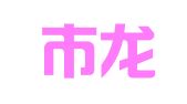 深圳市龙洲投资顾问有限公司