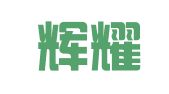 成都辉耀财务咨询有限责任公司