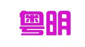 广州粤明人力资源有限公司