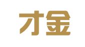 广西才金财务有限公司