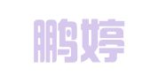 重庆鹏婷财务咨询有限公司