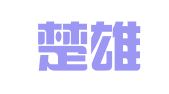 长沙楚雄财务咨询有限公司