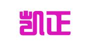 广州凯正财税咨询有限公司