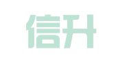 甘肃信升财务咨询有限公司