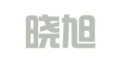 重庆晓旭财务咨询有限公司