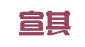 广西宣其会计服务有限责任公司