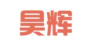 重庆昊辉财务咨询有限公司