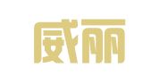杭州威丽财务管理有限公司