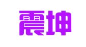山东震坤财务咨询有限公司