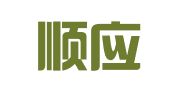 广州顺应财务咨询有限公司
