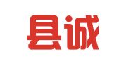 平阳县诚谊财务咨询有限公司