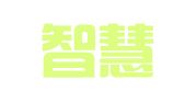 四川智慧军师财税服务有限公司