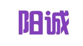 合肥阳诚财务咨询管理有限公司