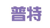 重庆普特企业管理咨询有限公司