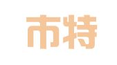 深圳市特讯财务咨询管理有限公司