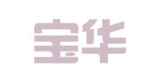 济南宝华代理记账有限公司