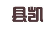 疏勒县凯迪亚财务代理有限公司