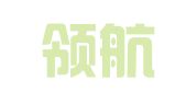 陕西领航财税集团有限公司