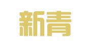 南京新青业财务咨询有限公司