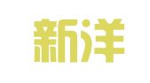 南昌新洋财务咨询有限公司
