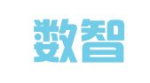 四川数智达财税有限公司