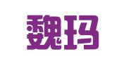 河南魏玛财务咨询有限公司