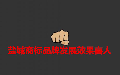 盐城商标品牌发展