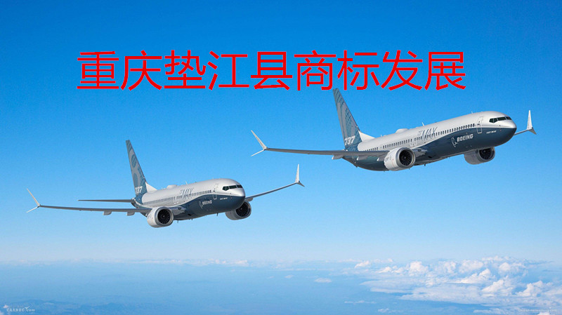 重庆垫江商标.jpg