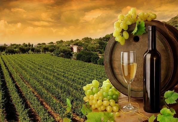 宁夏贺兰山东麓葡萄酒