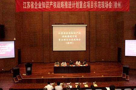 省企业知识产权战略推进计划重点项目（徐州）示范现场会举办.jpg