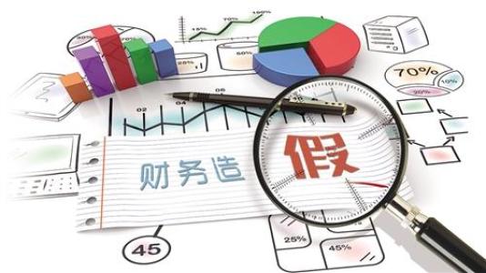 证监会新闻 财务造假